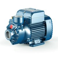 Bomba Periférica Pkm60 Aguas Limpias 0,5 hp 220 v