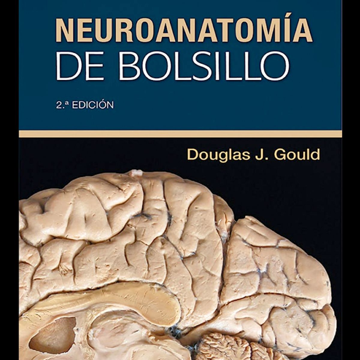 EDITORIAL MEDITERRANEO - Libro Neuroanatomía de bolsillo 2ª Ed.