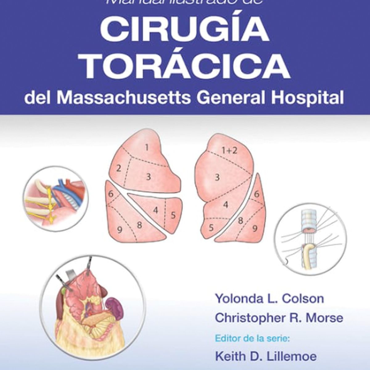 EDITORIAL MEDITERRANEO - Libro Manual ilustrado de Cirugía torácica del Massachusett