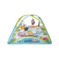 Gimnasio Meadow Days Sunny Day