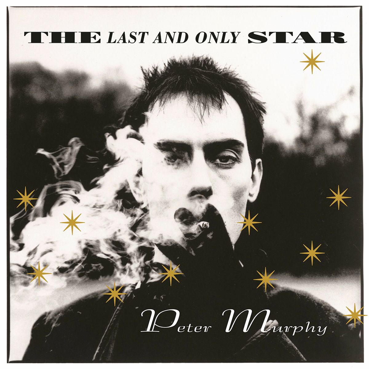 GENERICO - Peter Murphy -The Last And Only Star- Vinilo