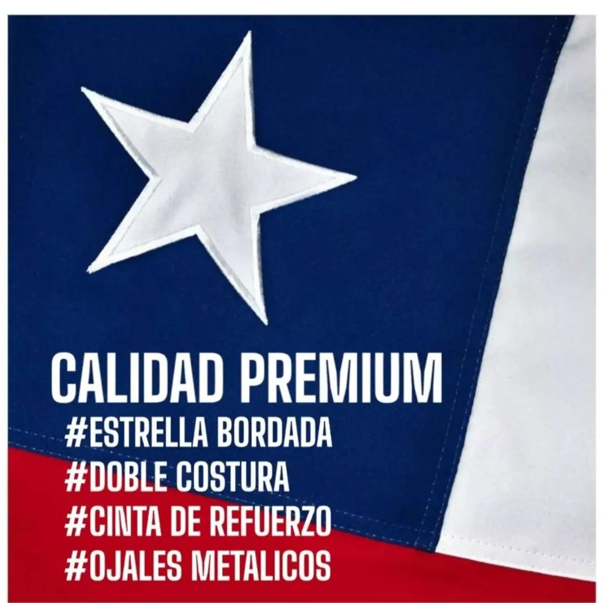 GENERICO - Bandera Chilena 140x210Cm Tela Bordada Reforzada