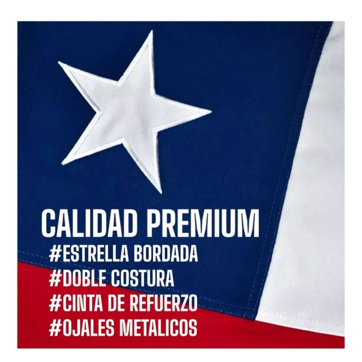 GENERICO - Bandera Chilena 140x210Cm Tela Bordada Reforzada