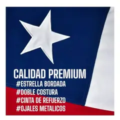 GENERICO - Bandera Chilena 140x210Cm Tela Bordada Reforzada