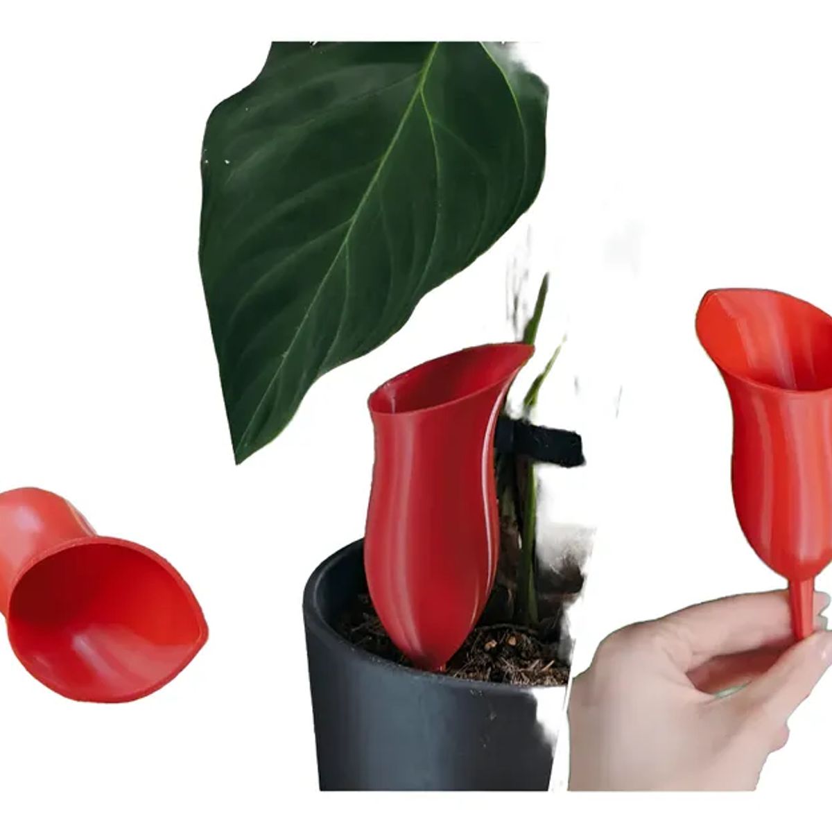 GENERICO - Globo de riego para platas - Jarra