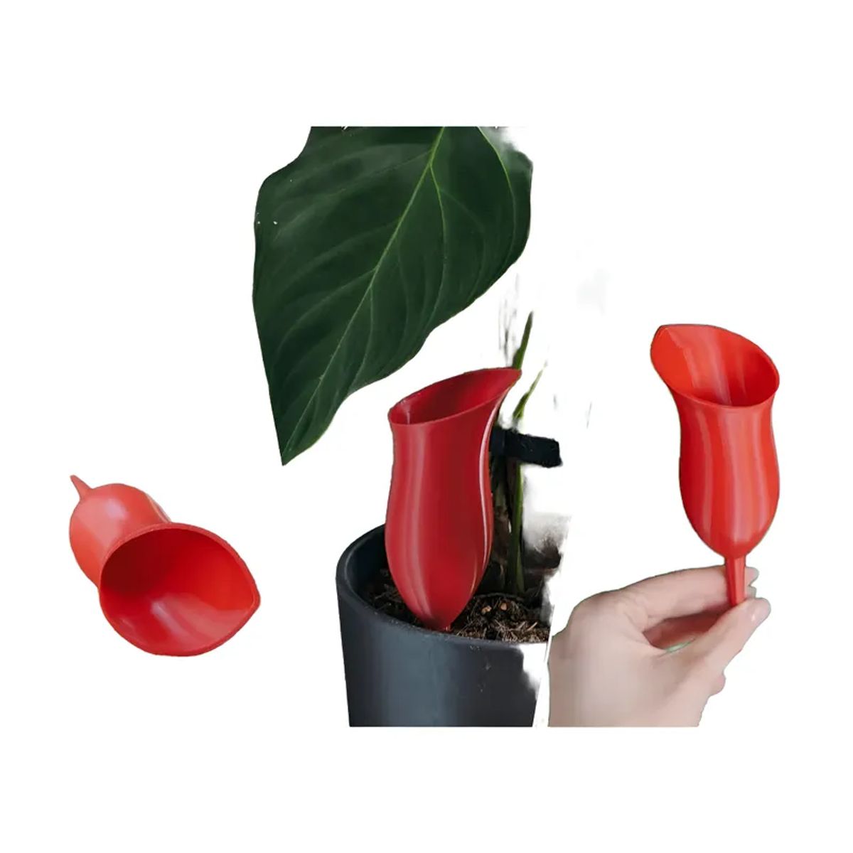 GENERICO - Globo de riego para platas - Jarra