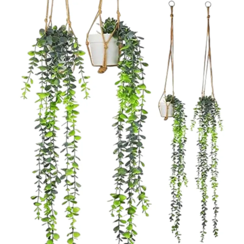 GENERICO - Macetero Planta Colgante 75cms Siempre Verde Exterior Interior