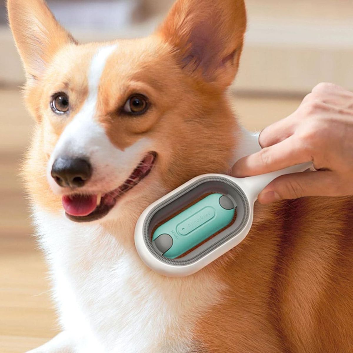 TATEE - Peine para mascotas con tanque de agua para gatos y perros