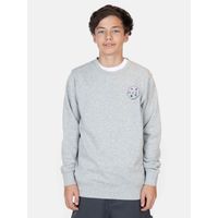 Poleron CR Lailix Gris Infantil - Gris