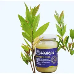 GENERICO - Miel Artesanal de Flora Nativa 100% pura 1kg