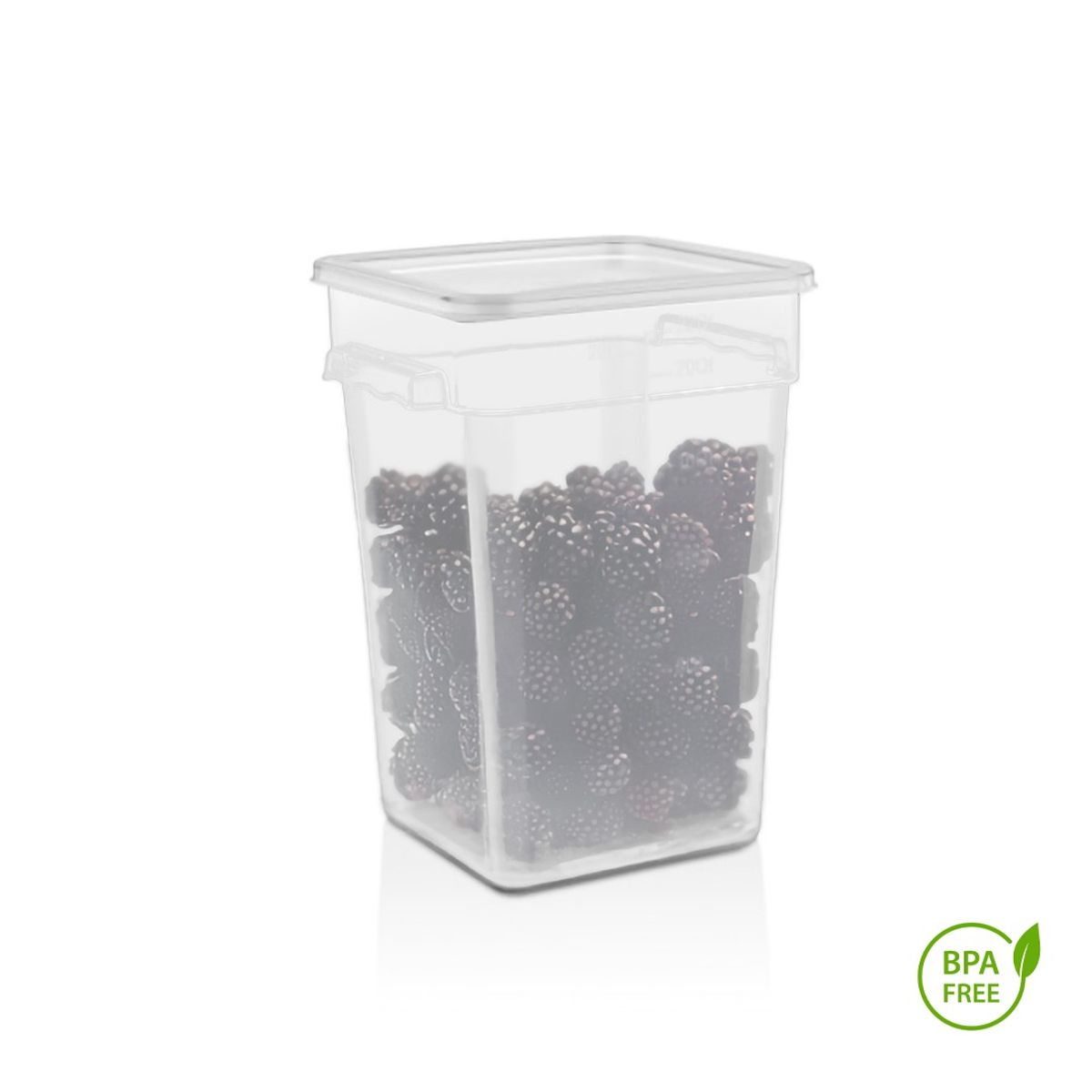 GASTROPLAST - Pack Recipiente Cuadrado Polipropileno 208 Lt Con Tapa Transparente