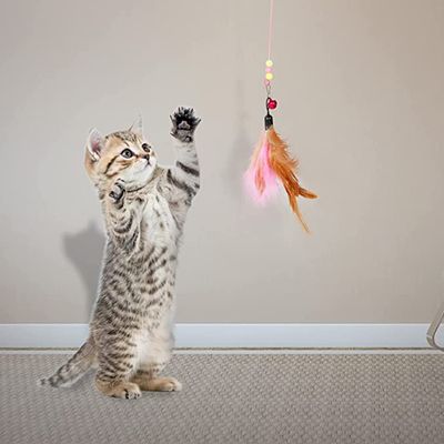 Imagen 2 del producto Set 20 juguetes para gatos Juguetes para mascotas