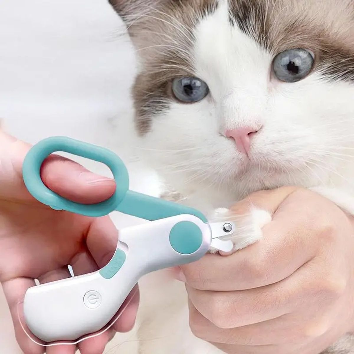 TATEE - Cortaúñas para mascotas agujero redondo con Luces LED