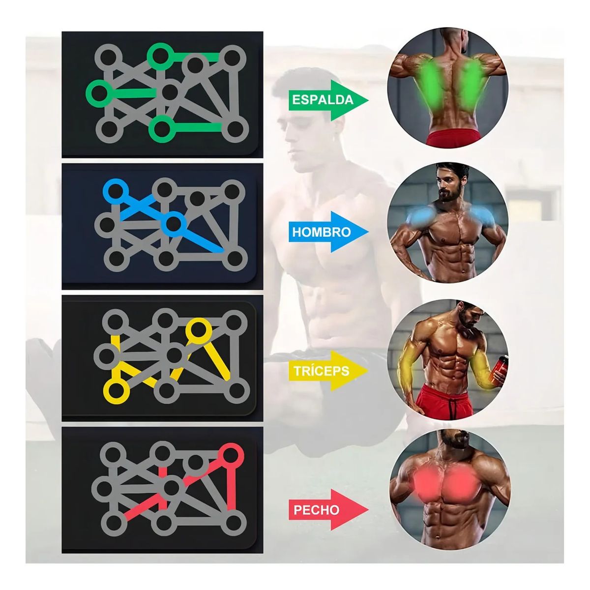 MOVI - Tabla de Flexiones Trabaja tus músculos