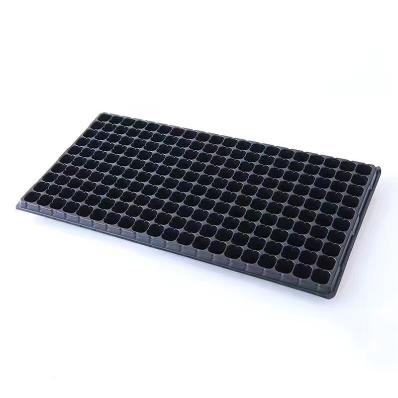 ATURE - Pack 12 Almacigueras Bandejas Rígidas 200 Cavidades