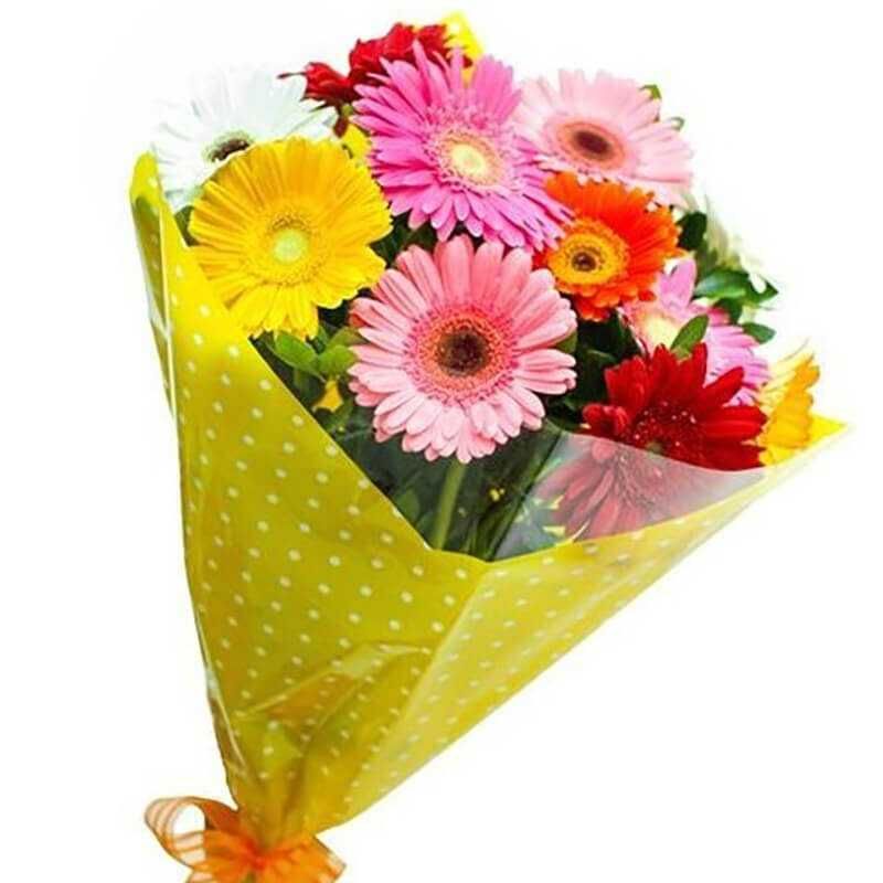 GENERICO - Ramo de 10 Gerberas Primaveral