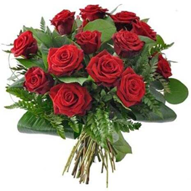 GENERICO - Ramo de 15 Rosas Rojas