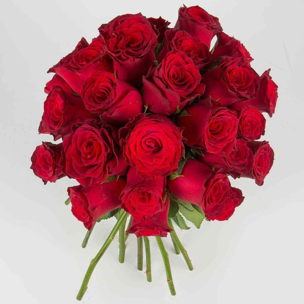 GENERICO - Ramo de 30 Rosas Rojas