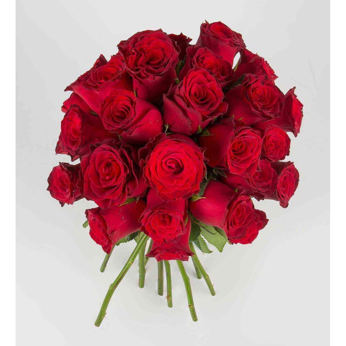 GENERICO - Ramo de 30 Rosas Rojas