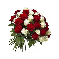 GENERICO - Ramo de 50 Rosas Blanco y Rojo