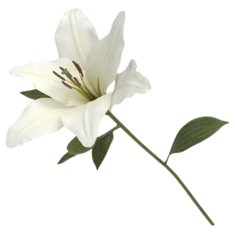 GENERICO - 1 Vara de Lilium