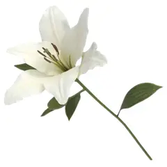 GENERICO - 1 Vara de Lilium