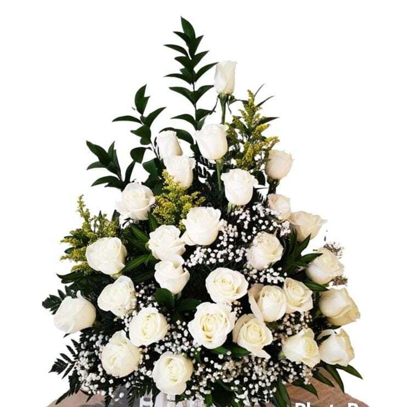 GENERICO - Canasta de 28 Rosas Blancas
