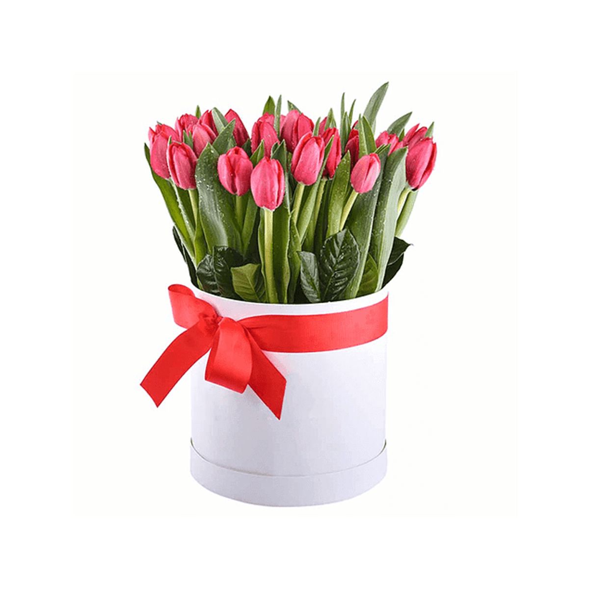 GENERICO - Box de 20 Tulipanes
