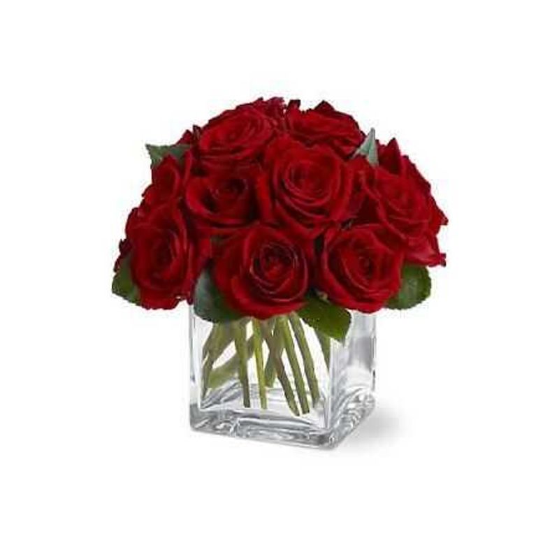GENERICO - Cubo de 15 Rosas Rojas