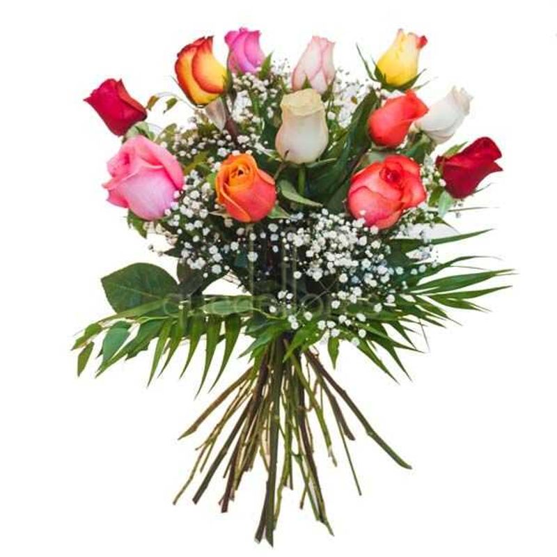 GENERICO - Ramo de 12 Rosas Primaveral