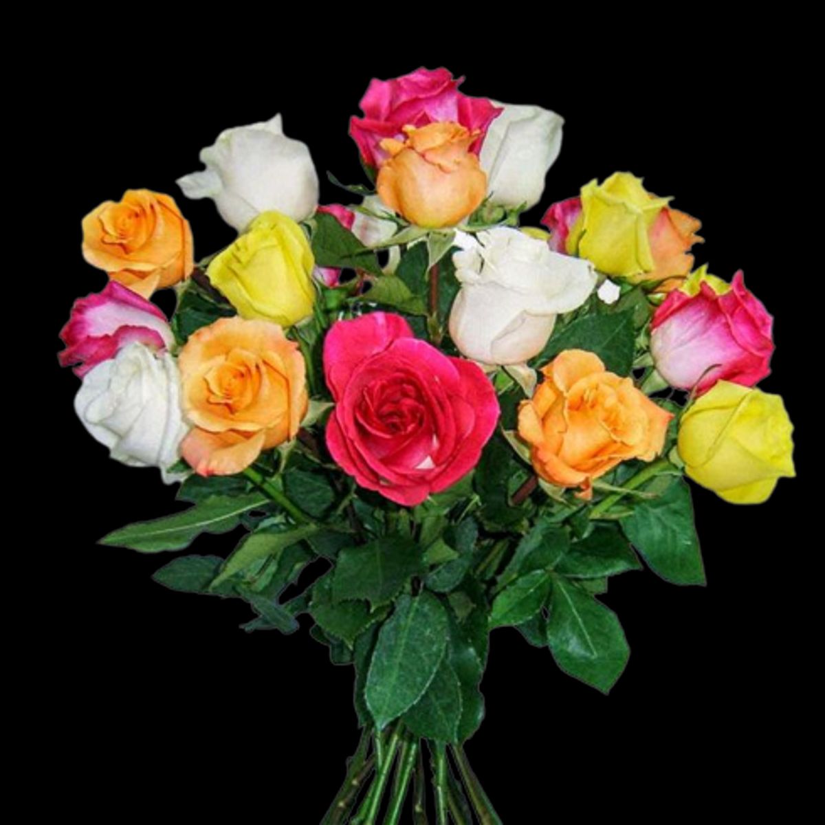 GENERICO - Ramo de 15 Rosas Primaveral