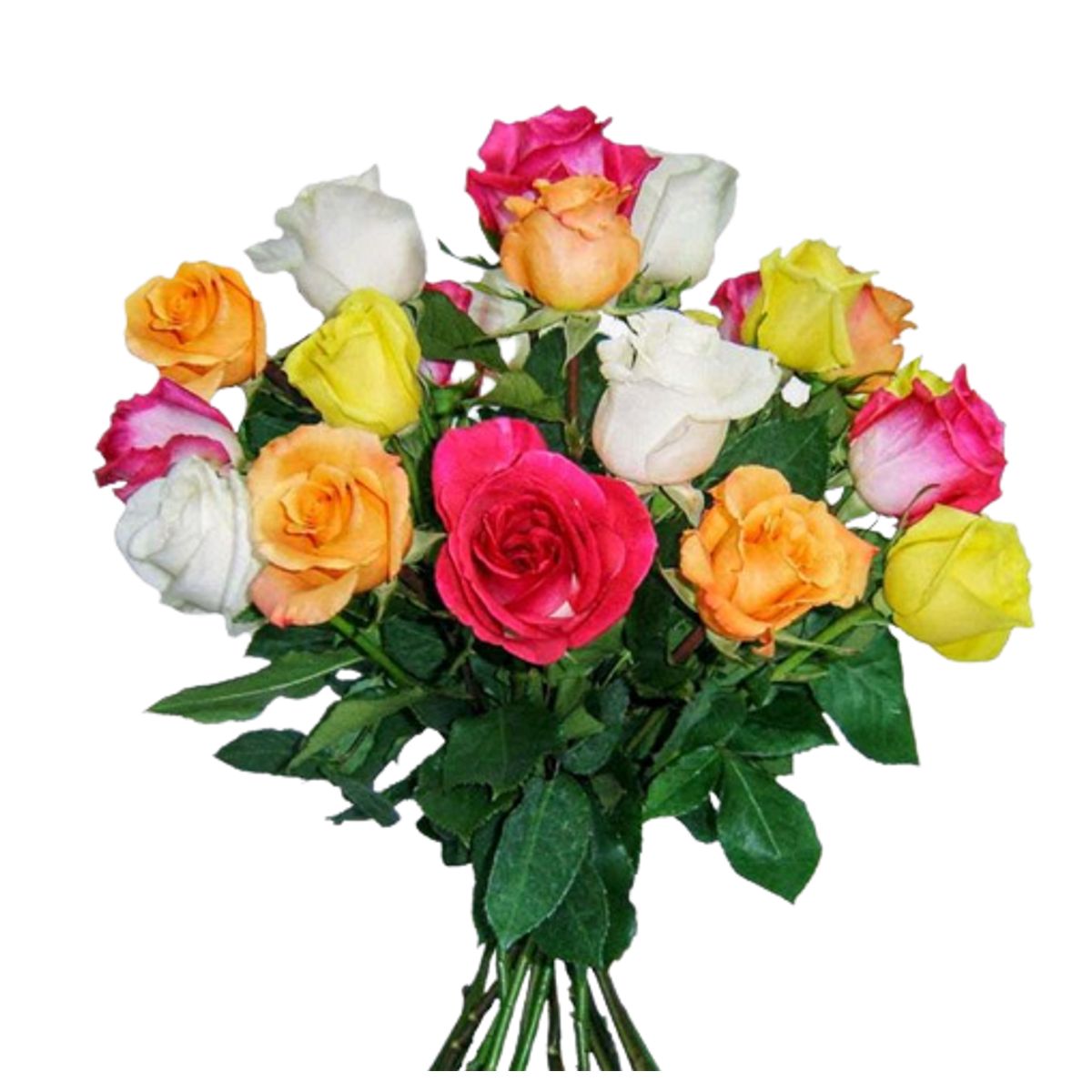 GENERICO - Ramo de 15 Rosas Primaveral