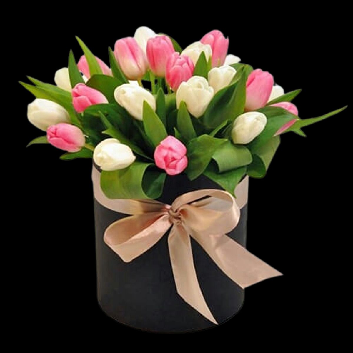 GENERICO - Box de 30 Tulipanes