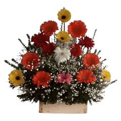 GENERICO - Gerberas en Escala