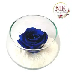 GENERICO - Rosa Preservada Azul en Pecera