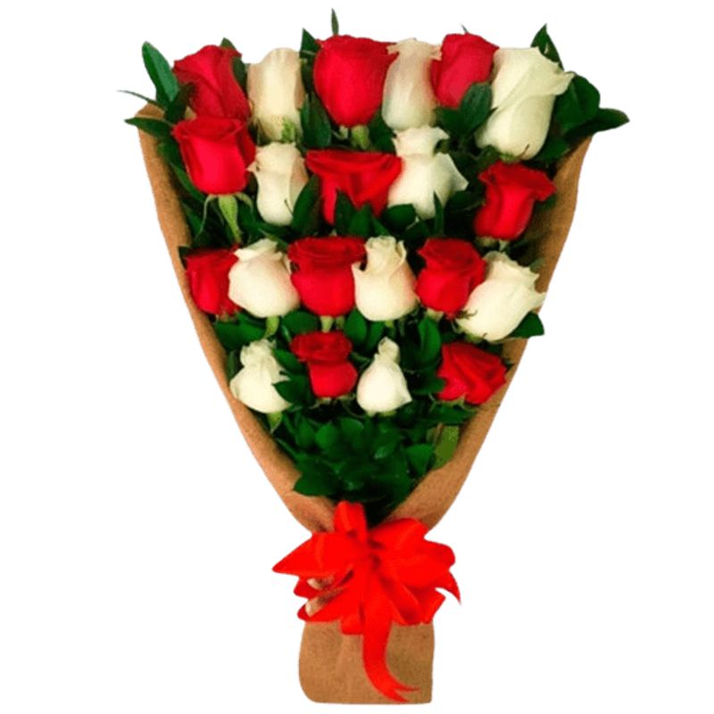 GENERICO - Ramo de 21 Rosas Bicolor