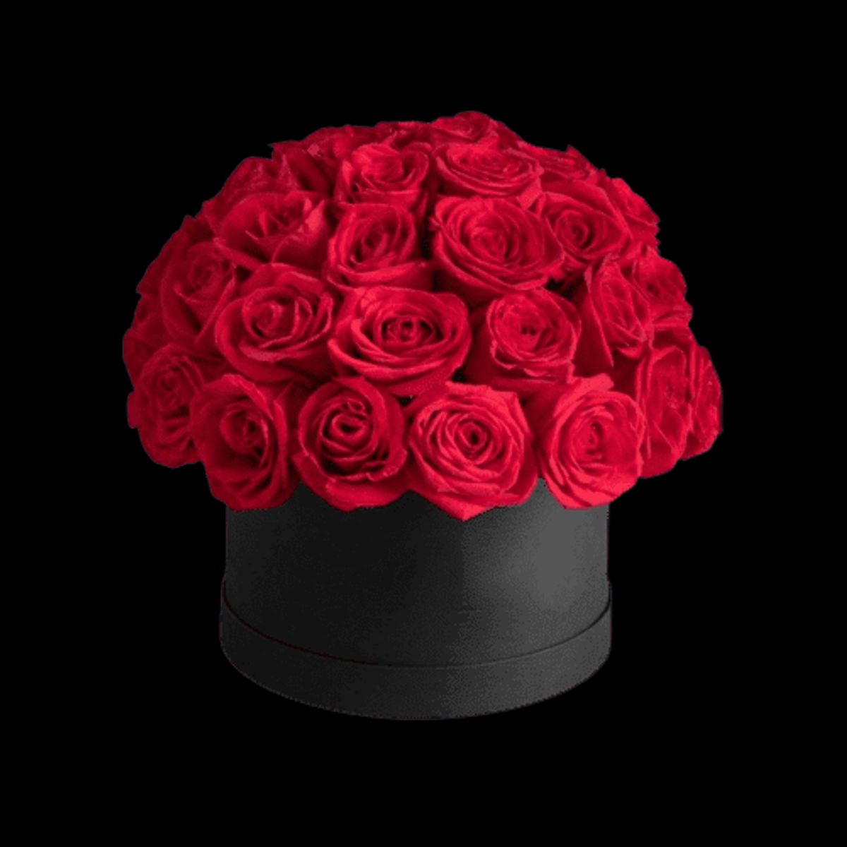 GENERICO - Box Cilindro de 30 Rosas