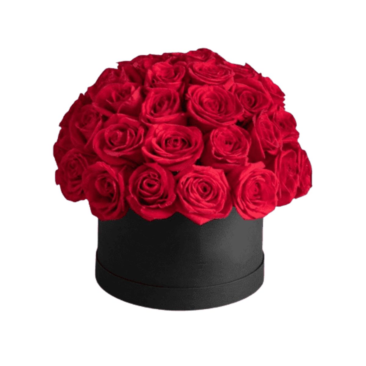 GENERICO - Box Cilindro de 30 Rosas