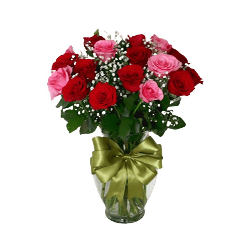 GENERICO - Florero de 15 Rosas Rosado y Rojo