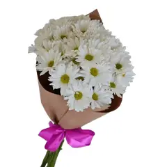 GENERICO - Ramo de Margaritas