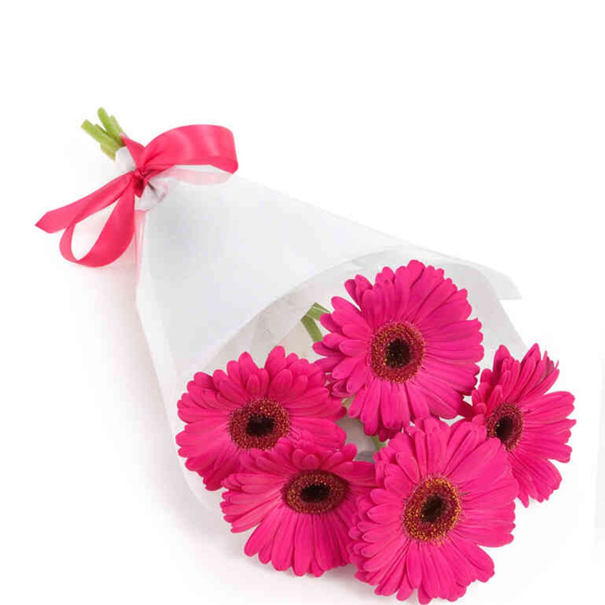 GENERICO - Ramo 5 Gerberas Fucsia