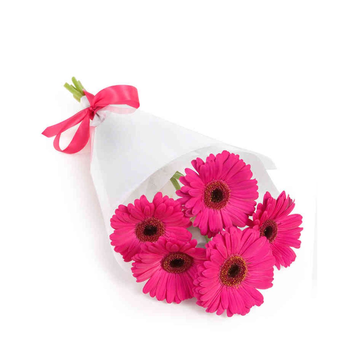 GENERICO - Ramo 5 Gerberas Fucsia