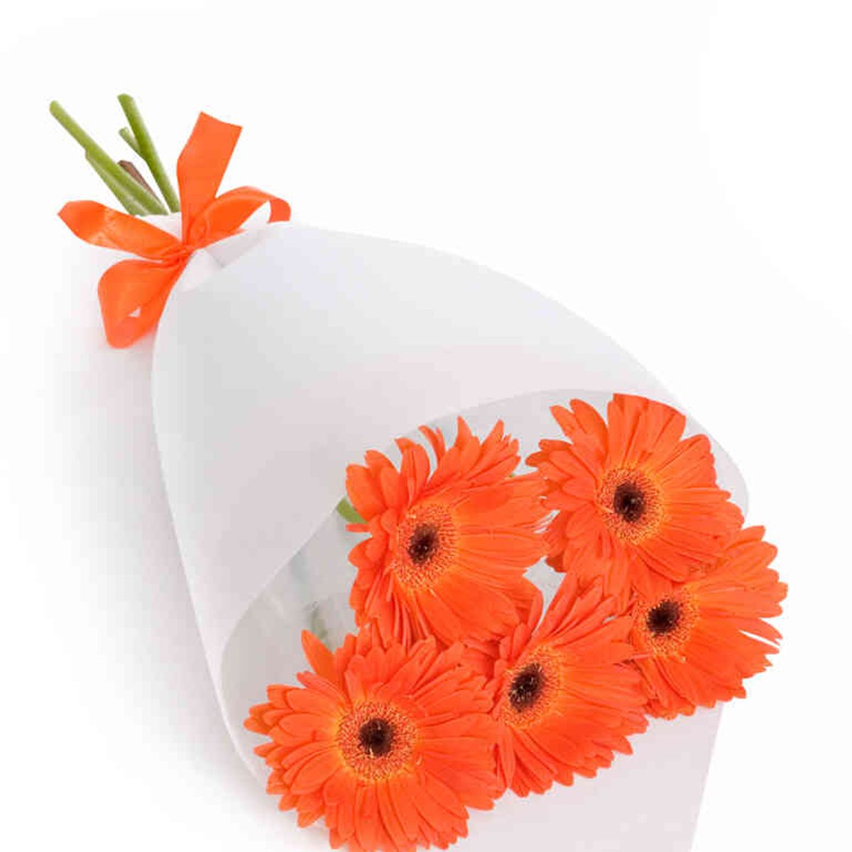 GENERICO - Ramo 5 Gerberas Naranjas