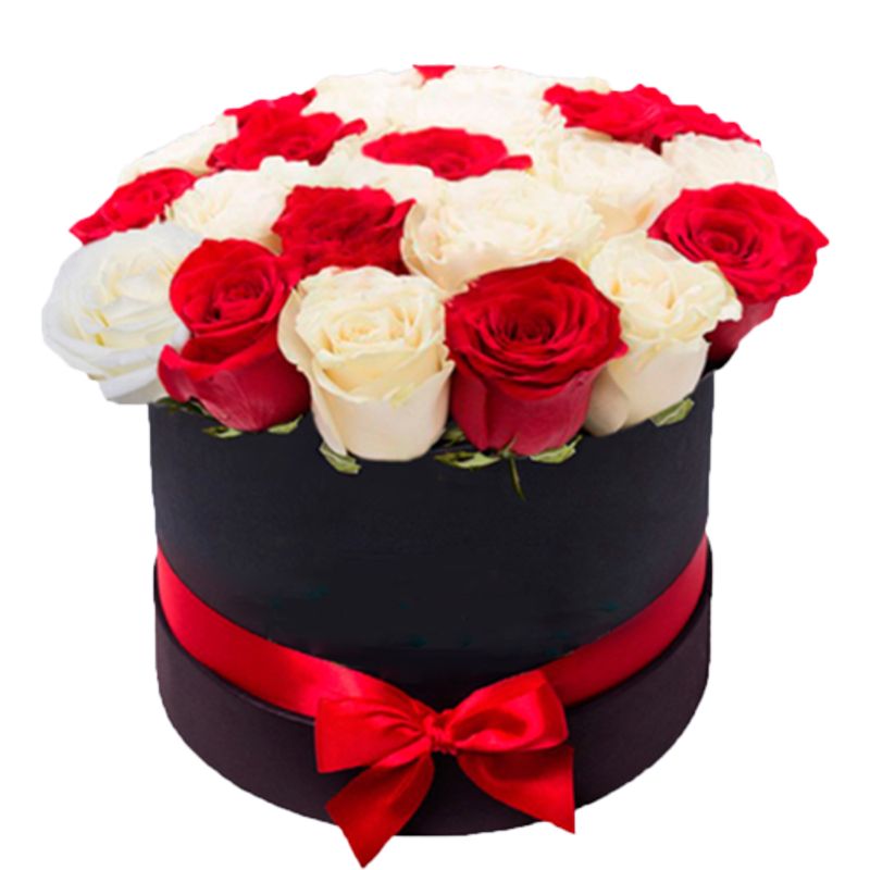 GENERICO - Box Cilindro de 24 Rosas Blanco y Rojo
