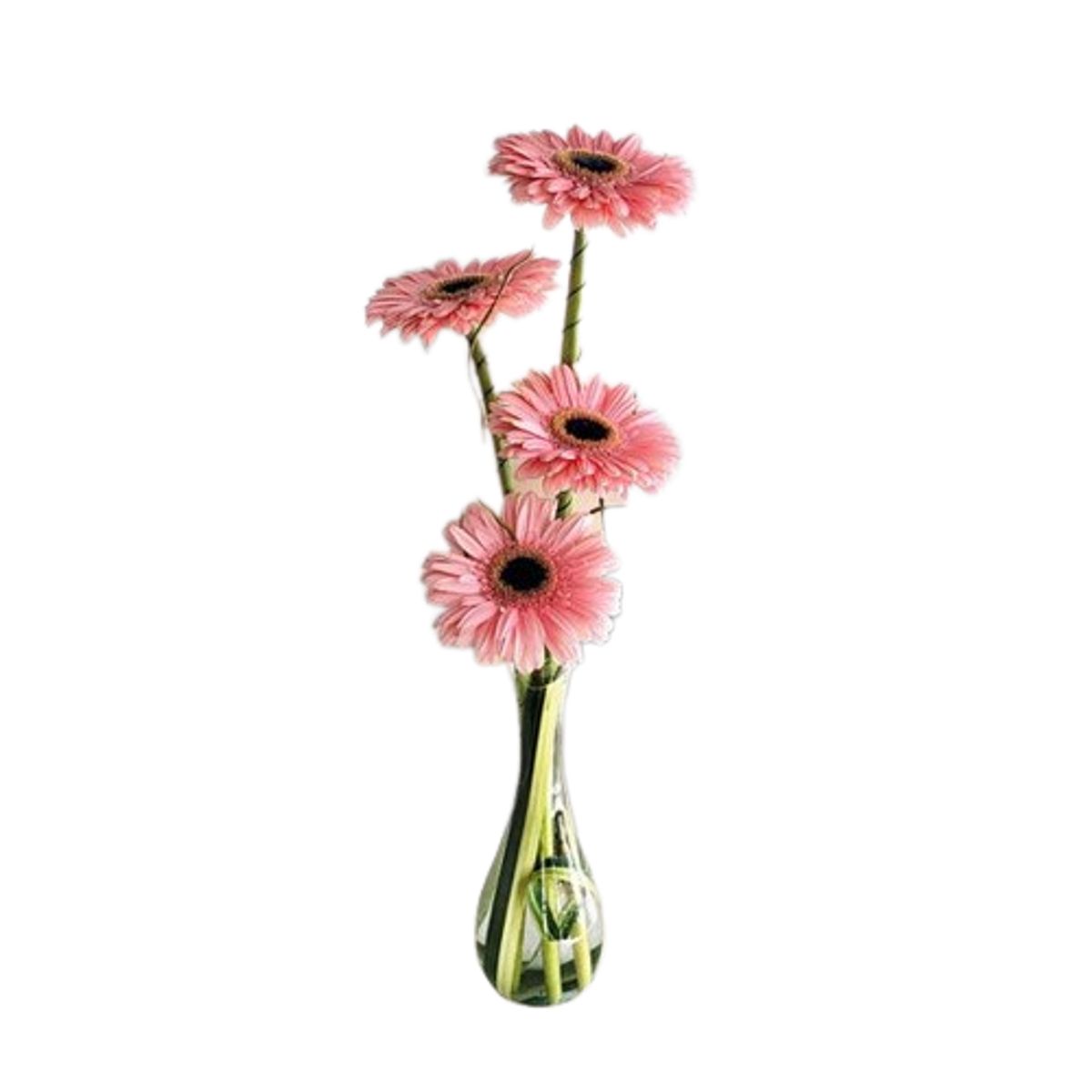 GENERICO - Florero de 4 Gerberas