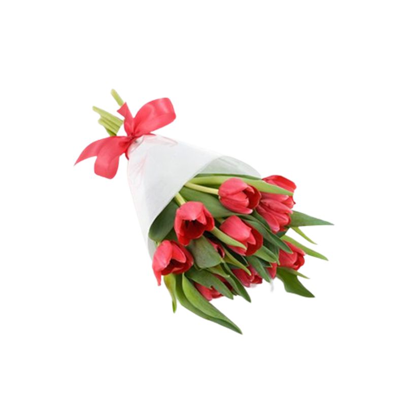 GENERICO - Ramo de 10 Tulipanes Rojos