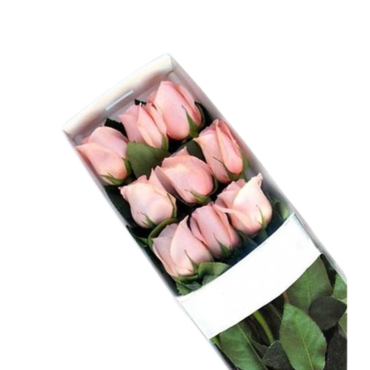 GENERICO - Caja de 9 Rosas Rosadas