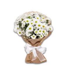 GENERICO - Ramo de Margaritas