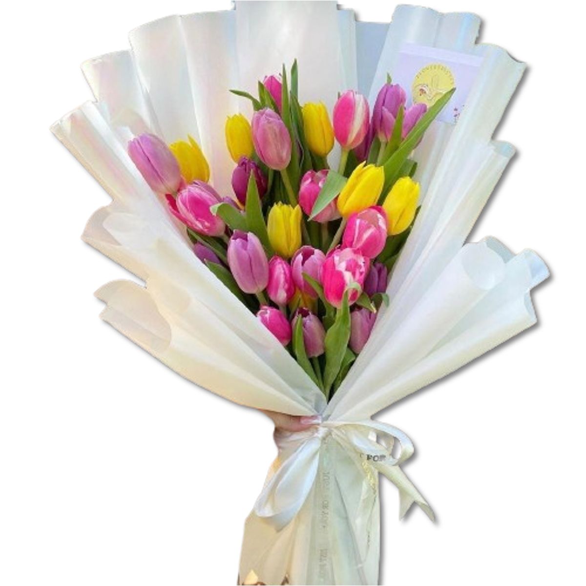 GENERICO - Bouquet de 24 Tulipanes Primaverales