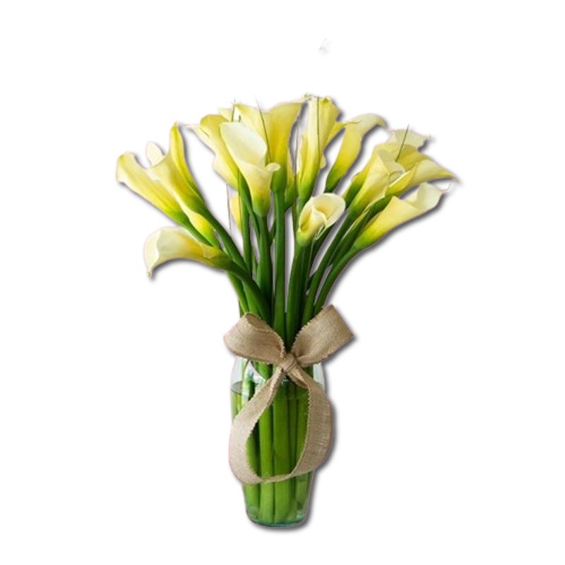 GENERICO - Florero de 20 Calas Blancas